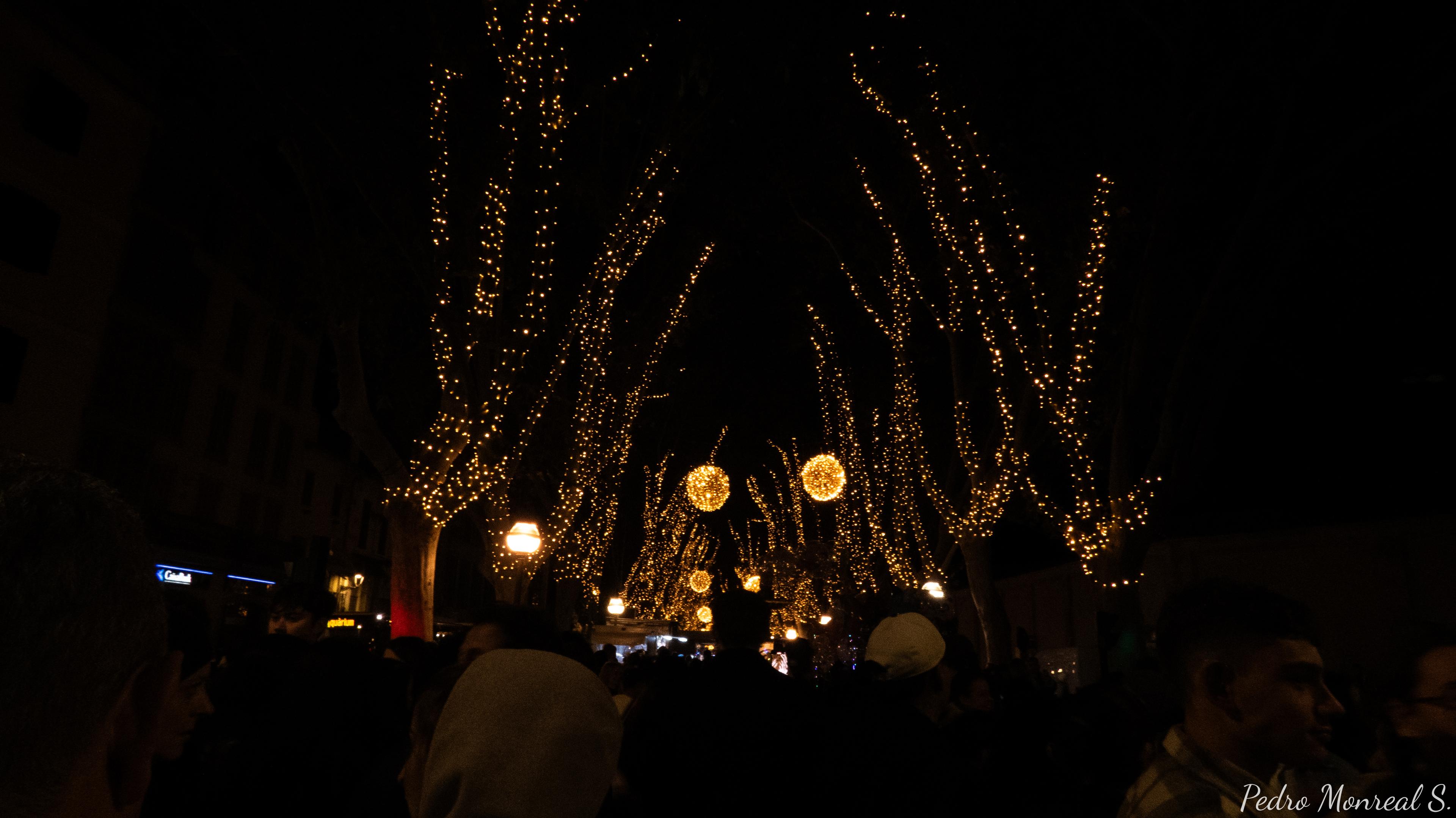Palma iluminada para la Navidad 🎄