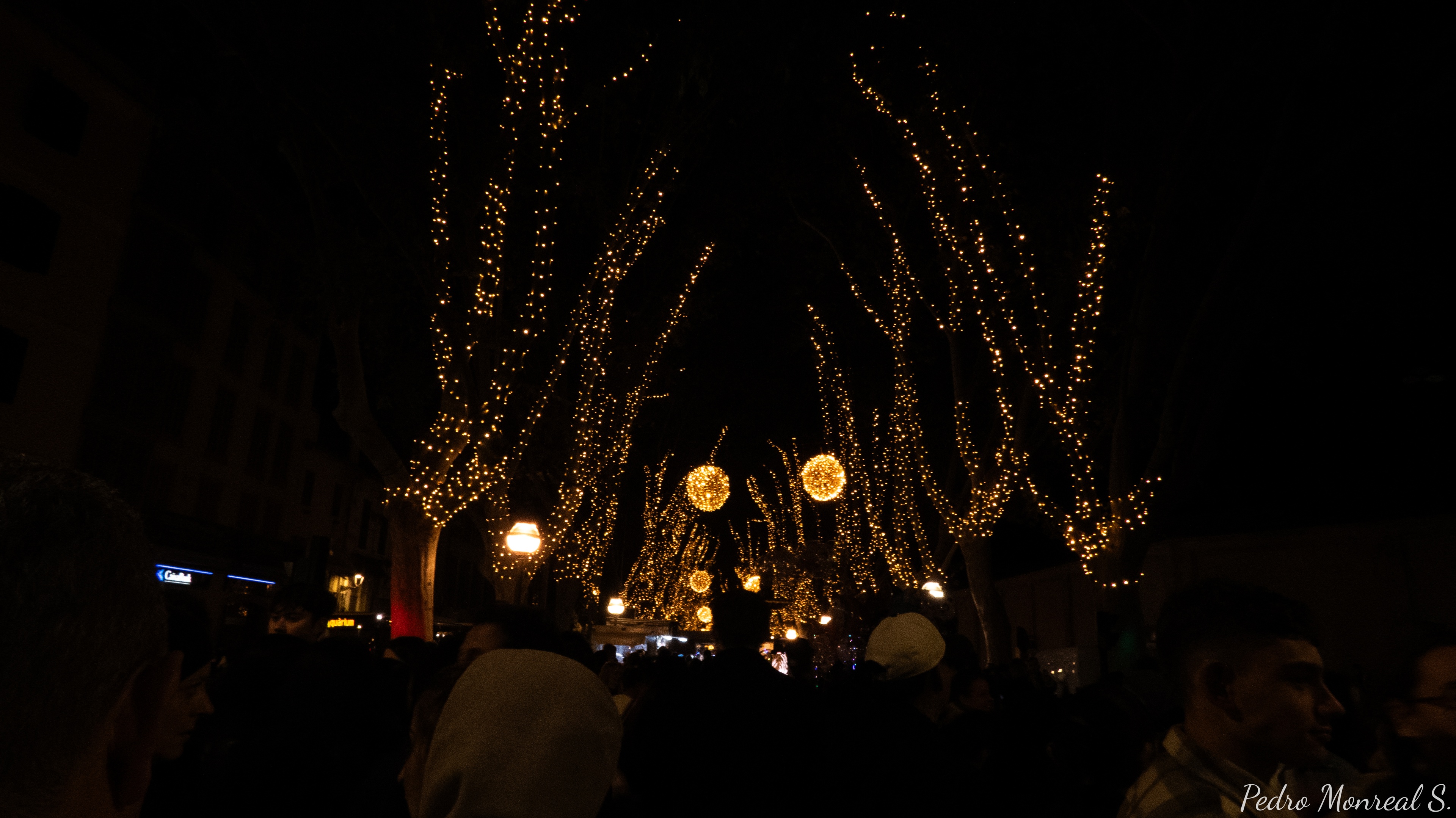 Palma iluminada para la Navidad 🎄