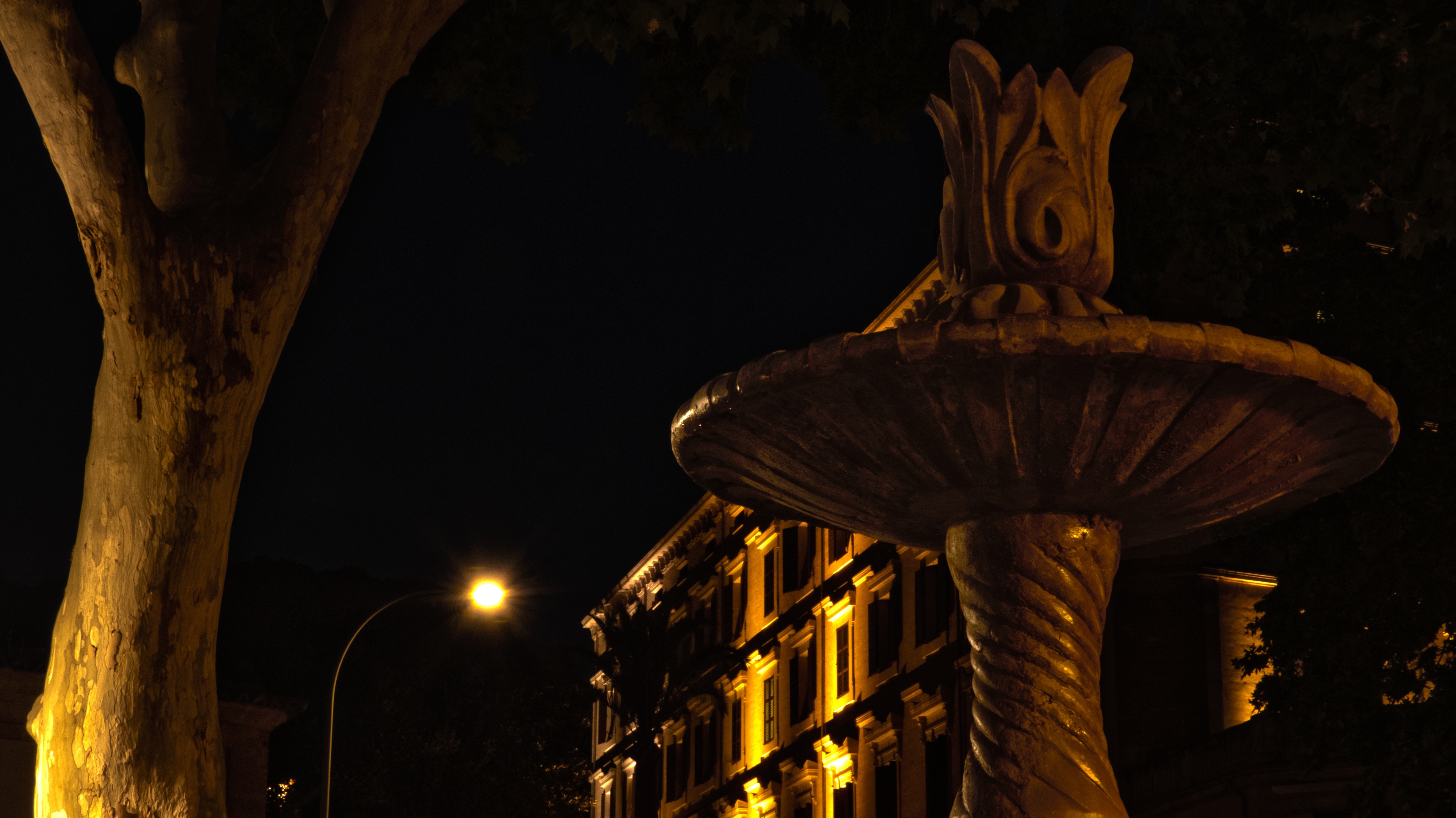 Luces de la Misericordia